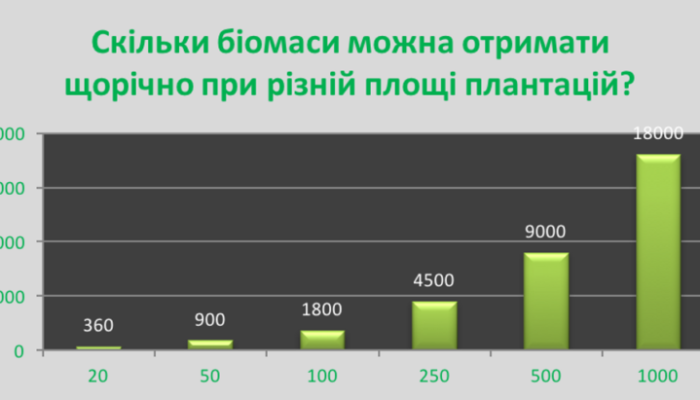 a3d4bc_2db6a1eaa6f64de18e98b1f5b70da4e2